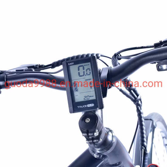 High Quality 36V Hidden Battery Mountain Electric Bicycle 250W E-Bike